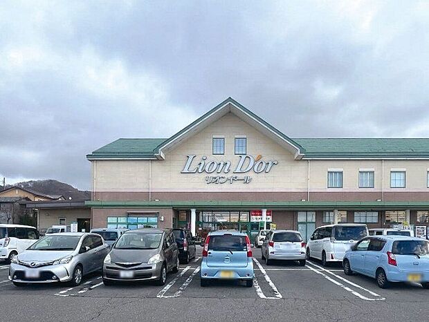 リオン・ドール滝沢店(約520m)