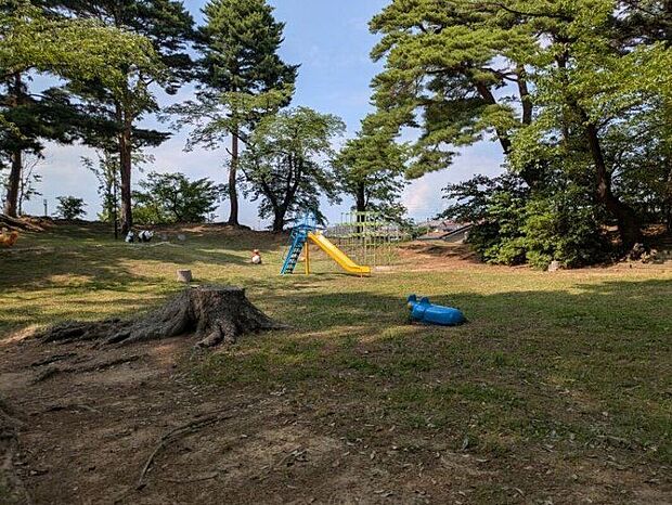 水神館公園(約700m)