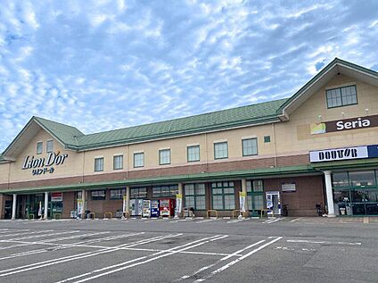 リオン・ドール 滝沢店 2250m