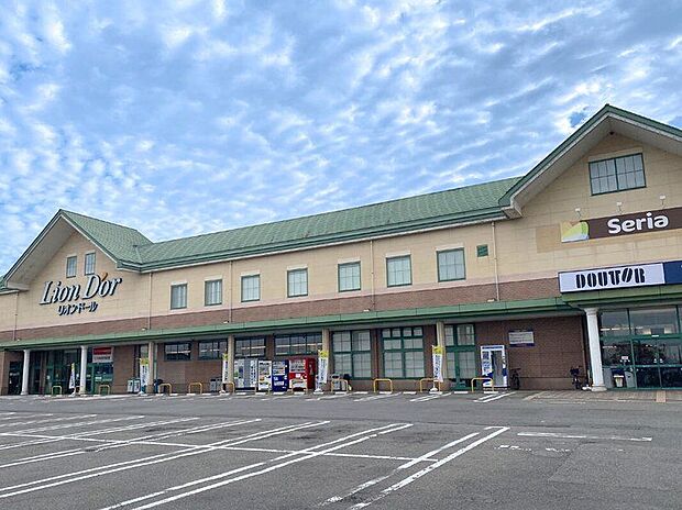 リオン・ドール 滝沢店(約2,250m)