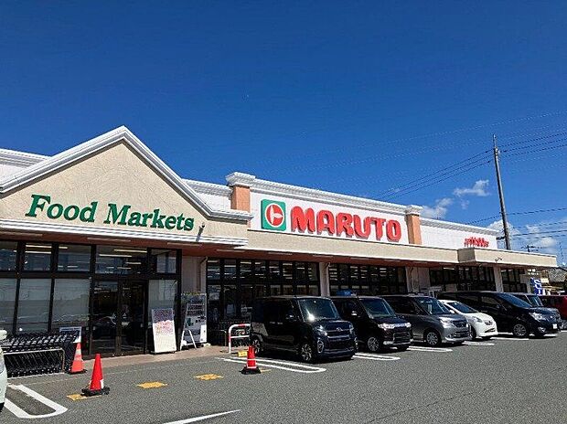 マルト 泉店(約200m)