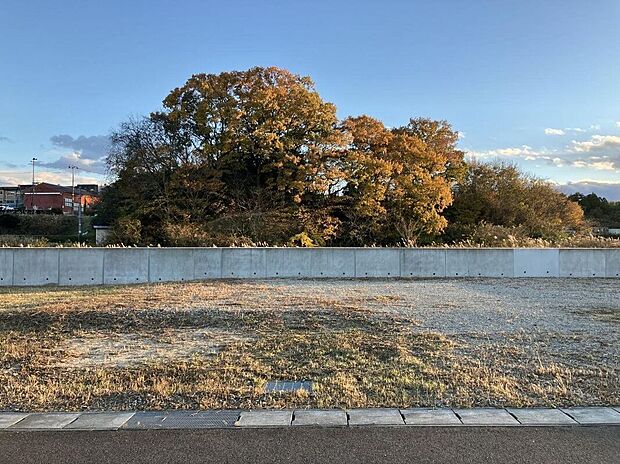 【外観】区画No.21現地写真(2024年11月撮影)/土地面積:61.06坪/北道路の整形地駐車場、建物、お庭と敷地を有効活用いただけます。