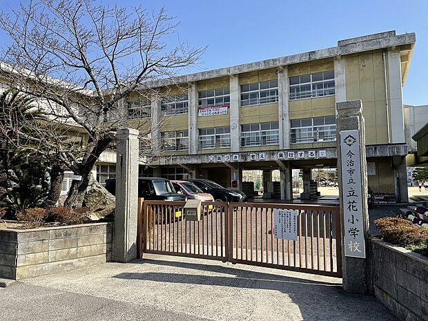 今治市立立花小学校（約230m）