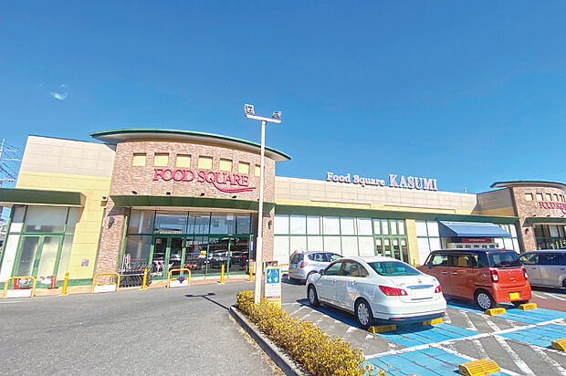 カスミフードスクエア下館南店 