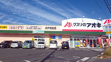 クスリのアオキ水戸見和店 約480m～530m(徒歩6分～7分)