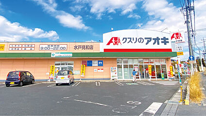 クスリのアオキ水戸見和店 約970m～1070m(徒歩13分～14分)