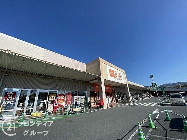 ザ・ビッグエクストラ 大安寺店（約1,080m）