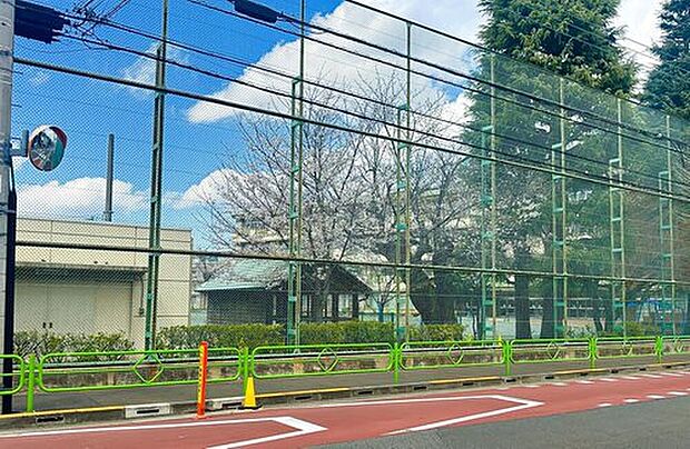 狛江市立緑野小学校(約398m)