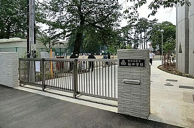 世田谷区立砧中学校（約874m）