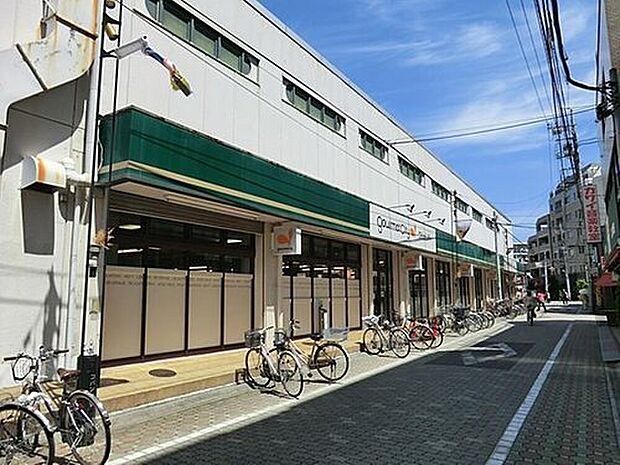 ダイエー国立店(約1,100m)