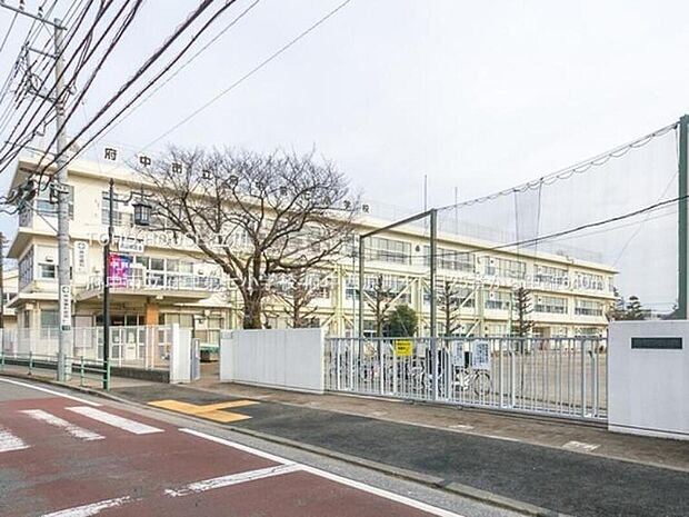 府中市立府中第七小学校(約640m)