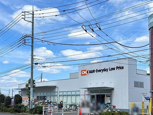 オーケー西国分寺店（約691m）