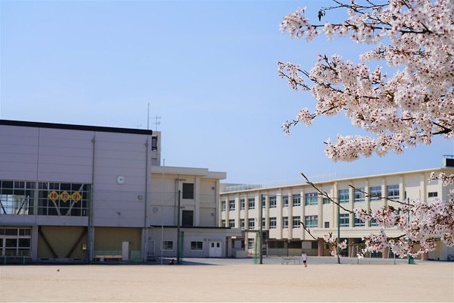 【学校】長浜市立神照小学校