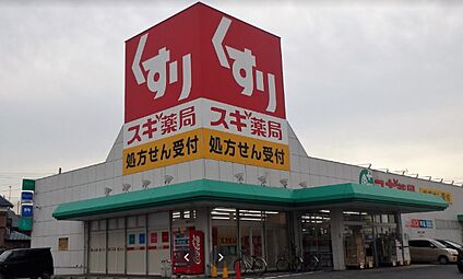 スギ薬局彦根西今店 約300ｍ