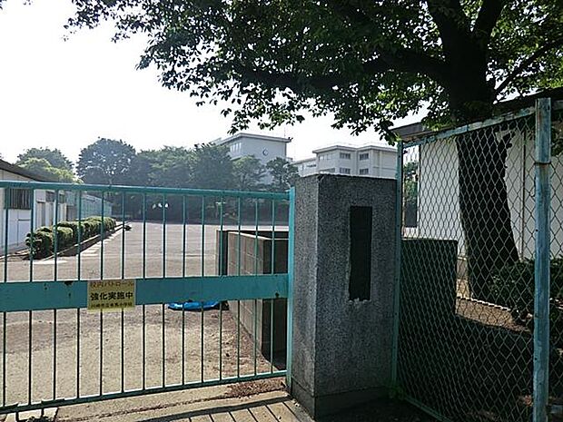 川崎市立有馬小学校(約500m)