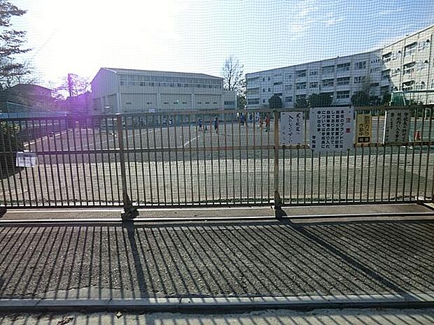 横浜市立小雀小学校(約1,300m)