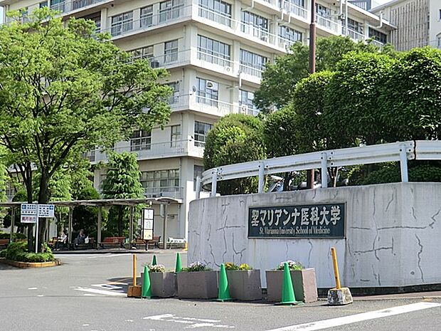 聖マリアンナ医科大学病院(徒歩18分)