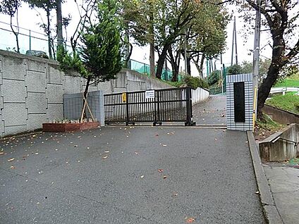 横浜市立都田中学校 500m