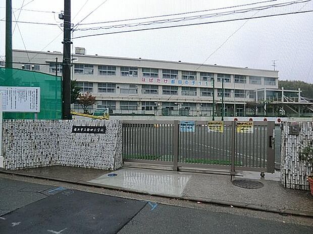 横浜市立都田小学校(約450m・徒歩6分)