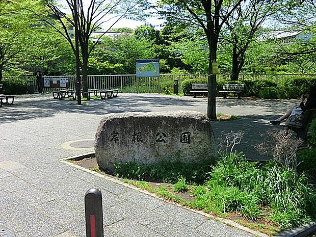 岸根公園（約800m・徒歩10分）
