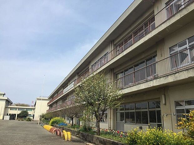 相模原市立共和小学校(約800m・徒歩10分)