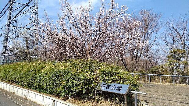 日吉公園（約170m・徒歩3分）