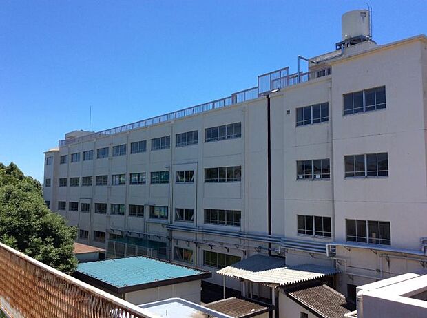 横浜市立元石川小学校（約310m・徒歩4分）