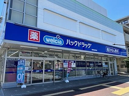 ハックドラッグ横浜和田町店 250m(4分)