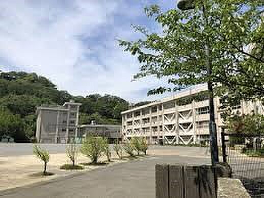 横須賀市立鷹取小学校(約480m・徒歩6分)