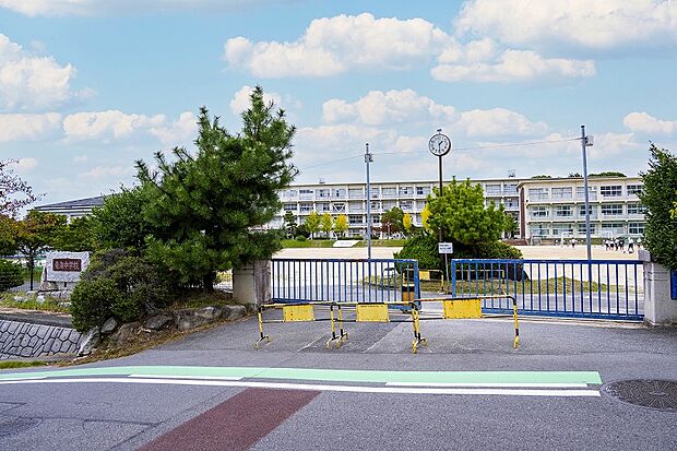 岡崎市立竜海中学校(約840m)