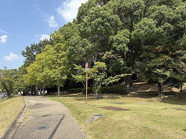 森岡自然公園（約120m）