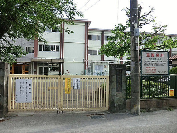小金井市立前原小学校　