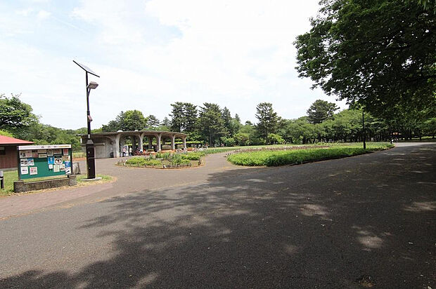 小金井公園(約481m)