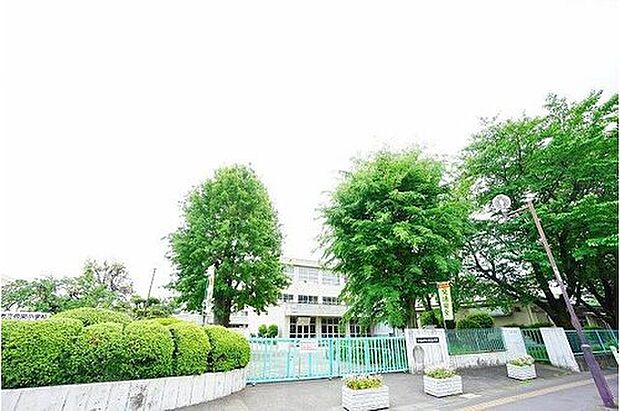 相模原市立弥栄小学校(約319m)