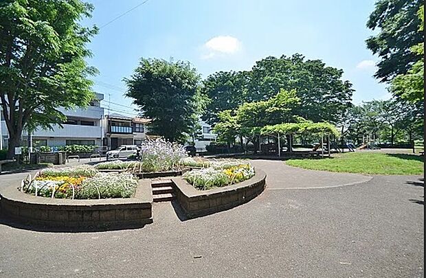忠生公園
