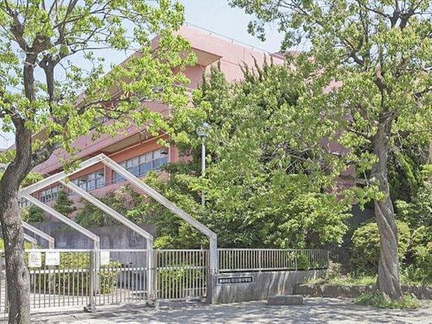 横浜市立荏田南中学校（約450m）