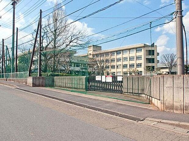 相模原市立若草中学校（約1,100m）