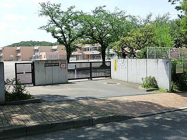 稲城市立平尾小学校(約850m)