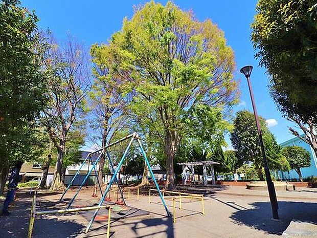 宮上公園(約500m)