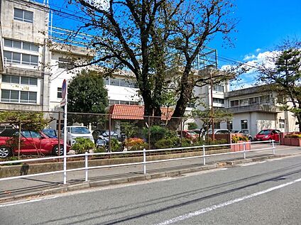 万騎が原中学校 1500ｍ(徒歩19分)