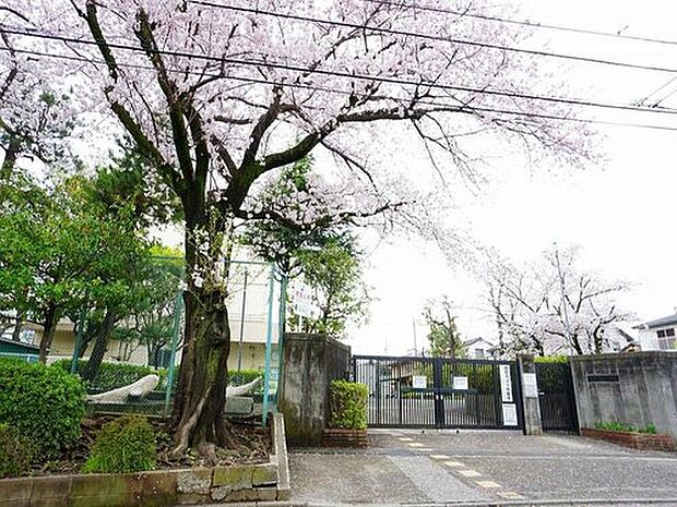 成瀬台小学校(約1,000m)