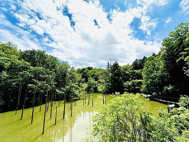 小山内裏公園(約2,000m)