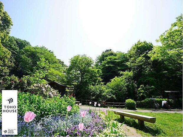 芹ヶ谷公園(約950m)