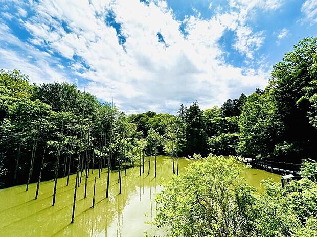 小山内裏公園（約1,800m）