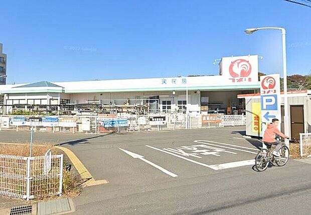 コメリハード&グリーン根岸店(約1,200m)