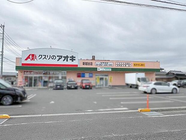 クスリのアオキ 新越谷店(約830m)
