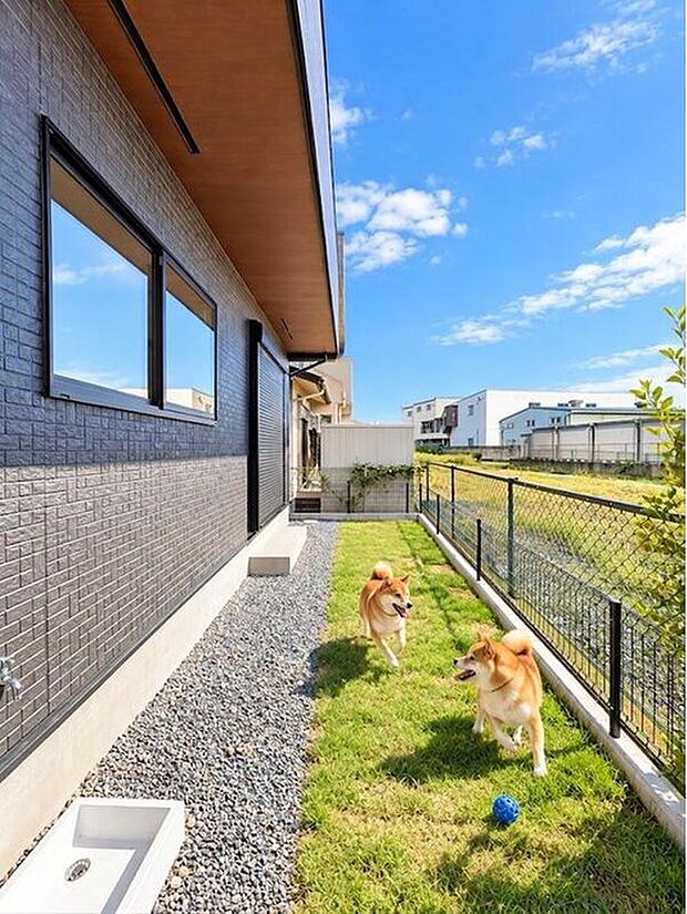【【庭】】家族団らんの場にもなる専用庭。ガーデニングや家庭菜園、プールや遊具を置いて子供の遊び場、テーブルやイスを設置し憩いのスペースなどメリットはたくさんあります♪※犬はCGです。