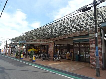 マルフジ東青梅店 209ｍ(徒歩3分)
