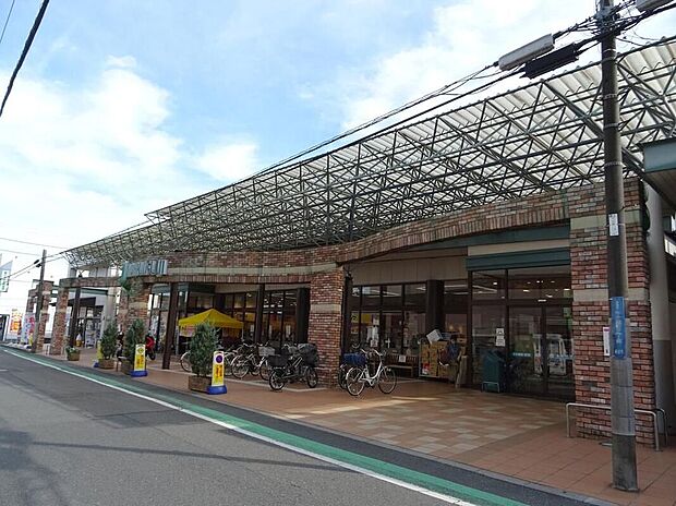 マルフジ東青梅店(約209m)