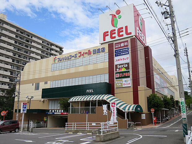 フィール日進店（約1m）